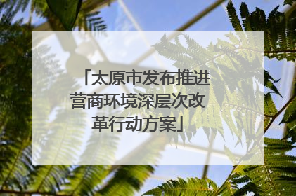 太原市发布推进营商环境深层次改革行动方案