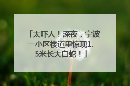 太吓人！深夜，宁波一小区楼道里惊现1.5米长大白蛇！