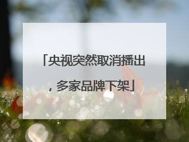 央视突然取消播出，多家品牌下架
