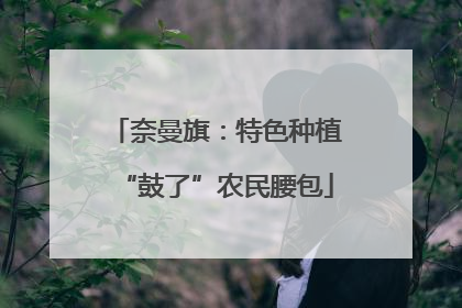 奈曼旗：特色种植“鼓了”农民腰包