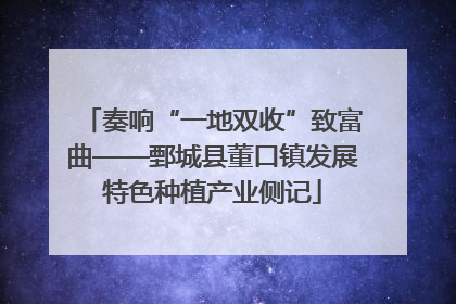 奏响“一地双收”致富曲——鄄城县董口镇发展特色种植产业侧记