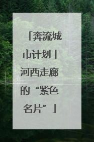 奔流城市计划丨河西走廊的“紫色名片”