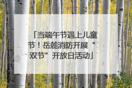 当端午节遇上儿童节！岳麓消防开展“双节”开放日活动