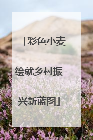 彩色小麦绘就乡村振兴新蓝图