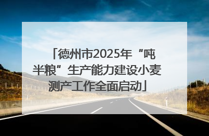 德州市2025年“吨半粮”生产能力建设小麦测产工作全面启动