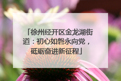 徐州经开区金龙湖街道：初心如磐永向党，砥砺奋进新征程