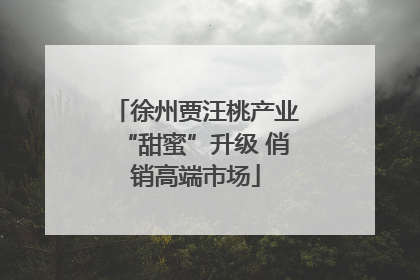 徐州贾汪桃产业“甜蜜”升级 俏销高端市场