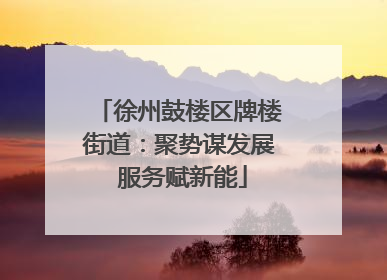 徐州鼓楼区牌楼街道：聚势谋发展 服务赋新能