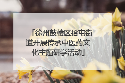 徐州鼓楼区拾屯街道开展传承中医药文化主题研学活动