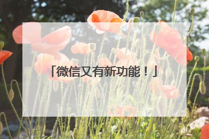 微信又有新功能！