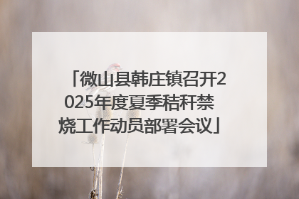 微山县韩庄镇召开2025年度夏季秸秆禁烧工作动员部署会议
