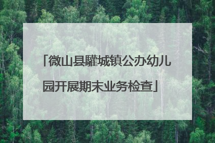微山县驩城镇公办幼儿园开展期末业务检查