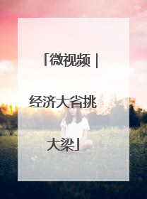 微视频｜经济大省挑大梁