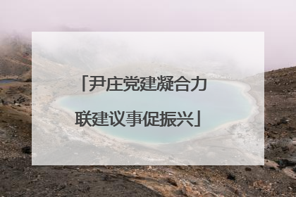 尹庄党建凝合力 联建议事促振兴