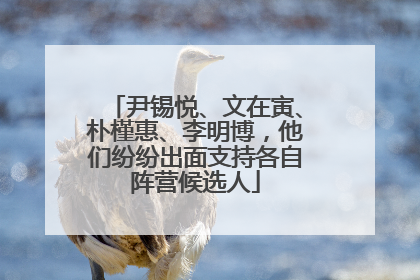 尹锡悦、文在寅、朴槿惠、李明博，他们纷纷出面支持各自阵营候选人