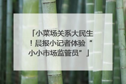 小菜场关系大民生！晨报小记者体验“小小市场监管员”