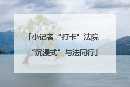 小记者“打卡”法院 “沉浸式”与法同行