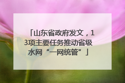 山东省政府发文，13项主要任务推动省级水网“一网统管”