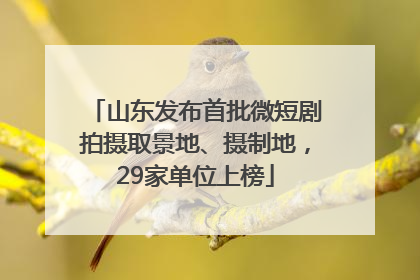 山东发布首批微短剧拍摄取景地、摄制地，29家单位上榜
