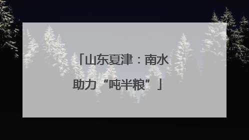 山东夏津：南水助力“吨半粮”