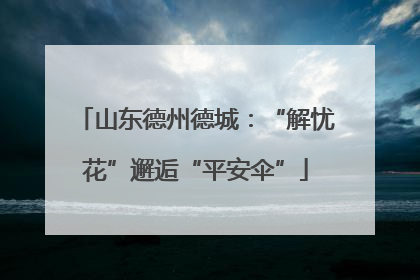 山东德州德城：“解忧花”邂逅“平安伞”