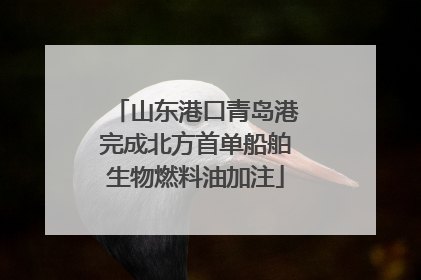 山东港口青岛港完成北方首单船舶生物燃料油加注