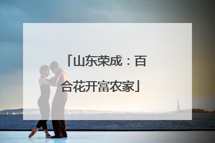 山东荣成：百合花开富农家