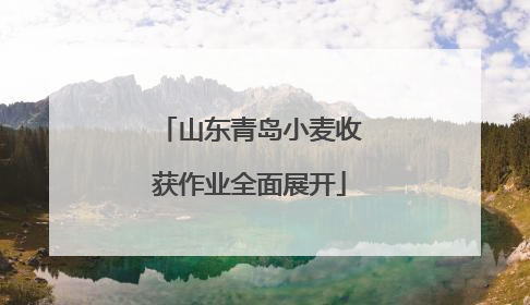 山东青岛小麦收获作业全面展开