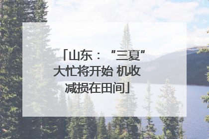 山东：“三夏”大忙将开始 机收减损在田间