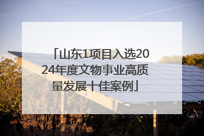 山东1项目入选2024年度文物事业高质量发展十佳案例