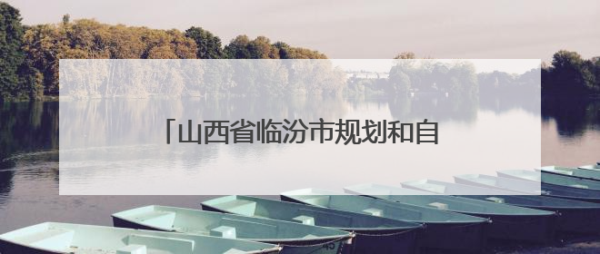 山西省临汾市规划和自然资源局党组召开会议