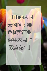 山西大同云冈区：特色优势产业催生农民“致富花”