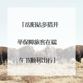 岳阳站多措并举保障旅客在端午节顺利出行
