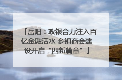 岳阳：政银合力注入百亿金融活水 乡镇商会建设开启“四新篇章”