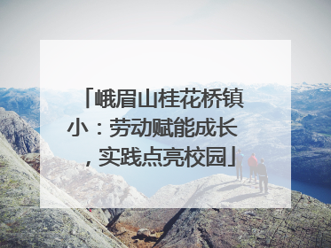 峨眉山桂花桥镇小：劳动赋能成长，实践点亮校园