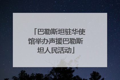 巴勒斯坦驻华使馆举办声援巴勒斯坦人民活动