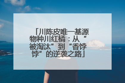 川陈皮唯一基源物种川红橘：从“被淘汰”到“香饽饽”的逆袭之路