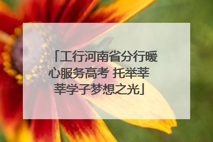 工行河南省分行暖心服务高考 托举莘莘学子梦想之光