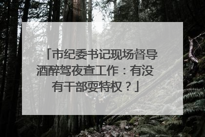市纪委书记现场督导酒醉驾夜查工作：有没有干部耍特权？