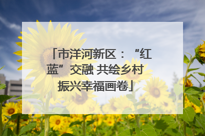 市洋河新区：“红蓝”交融 共绘乡村振兴幸福画卷