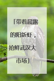 带着晨露的阳新虾，抢鲜武汉大市场