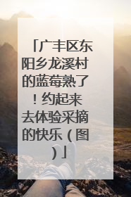 广丰区东阳乡龙溪村的蓝莓熟了！约起来 去体验采摘的快乐（图）