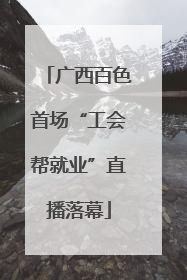 广西百色首场“工会帮就业”直播落幕