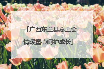 广西东兰县总工会情暖童心呵护成长