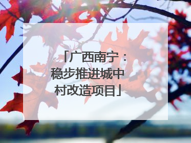 广西南宁：稳步推进城中村改造项目