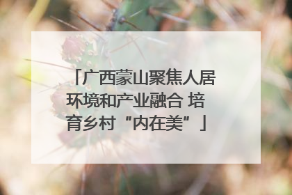 广西蒙山聚焦人居环境和产业融合 培育乡村“内在美”