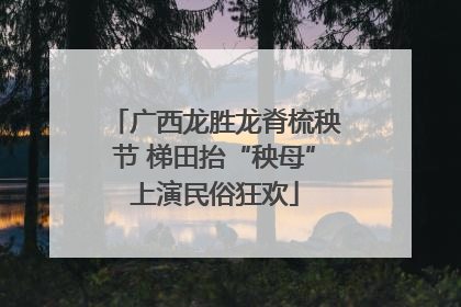 广西龙胜龙脊梳秧节 梯田抬“秧母”上演民俗狂欢