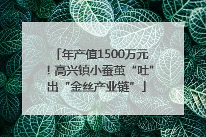 年产值1500万元！高兴镇小蚕茧“吐”出“金丝产业链”