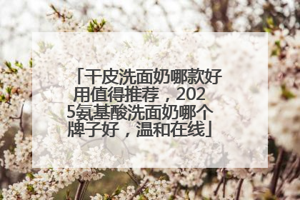干皮洗面奶哪款好用值得推荐，2025氨基酸洗面奶哪个牌子好，温和在线