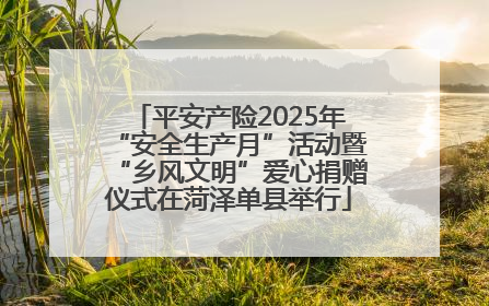 平安产险2025年“安全生产月”活动暨“乡风文明”爱心捐赠仪式在菏泽单县举行